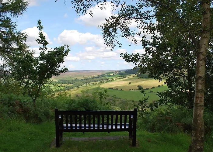 Nocleg ze śniadaniem Carlton 4*