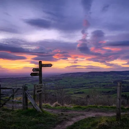Carlton 赫尔姆斯利